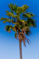 IMG_4742-Edit