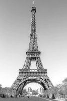 IMG_3144-NEWEST_WEB